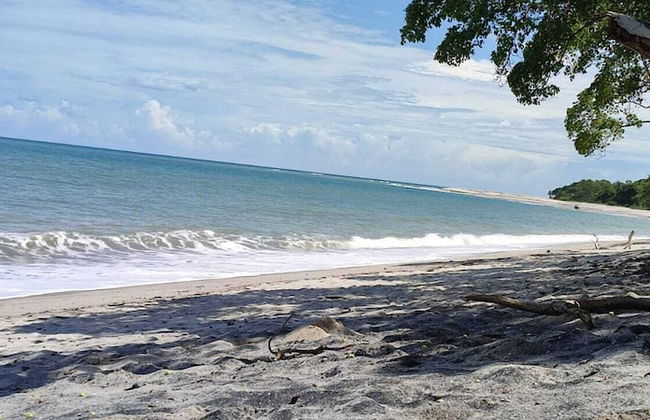 las cabañas - Photo 29