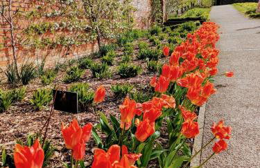 Lady Hill, Royal Hillsborough - Foto 10