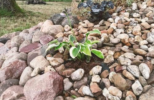 Mieszkanie z Ogrodem - Foto 32