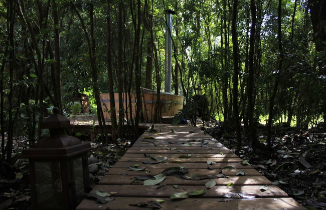 DreamWoods - Foto 27