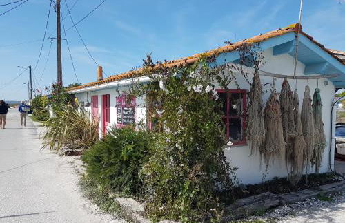 Salamandre et Hippocampe - Foto 43