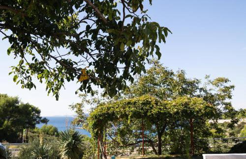 Villa Mrvica - Bilo, Primosten - Foto 16