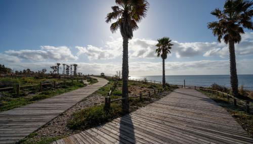 El Rincón de Triana - Foto 5