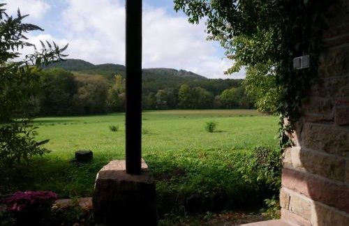 Ferienwohnungen Knodel - Foto 14