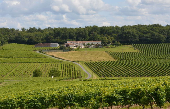 Luxury Apartment With Terrace, Sauna, Tennis, Pool - Foto 47