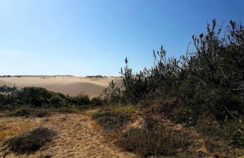 Superbe maison finlandaise en bois - Foto 22