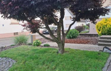 Auszeit Wunschblick - Foto 51