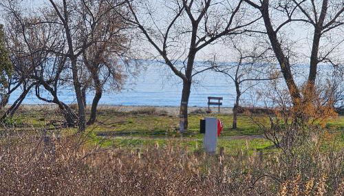 Superbe appartement vue mer terrasse couverte face à la mer - Foto 5