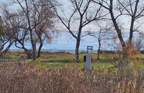 Superbe appartement vue mer terrasse couverte face à la mer - Foto 5