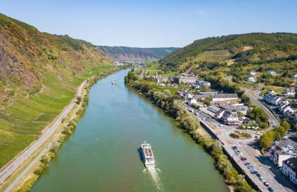 Ferienweingut Gansen Hochgenuss 2 - Foto 19