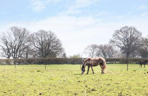 The Cider House - Photo 27