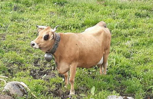 T2 vue piste Résidence Vostok Zodiaque - Photo 60