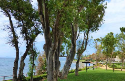 Selecta Family by the Sea - Photo 30