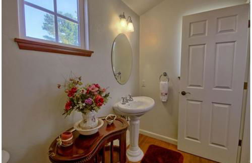 A Dolphin Dreams-Spring Special - Foto 2