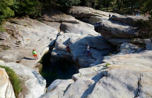 Verde Bosco - Photo 36