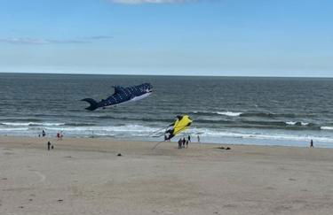 Hampton Beach OCEAN FRONT Condo at the Surf - Foto 14