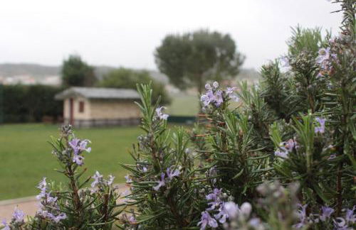 Quinta Sobral Prestige - Rustic House - Photo 26