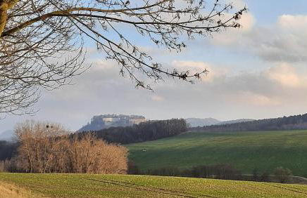 Pirna Altstadtgeflüster - Photo 27