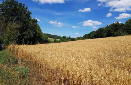 Haus herhönspatziert - Foto 16