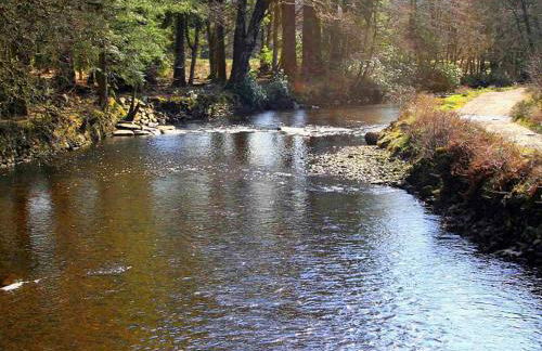 Cedar Cottage - Foto 19