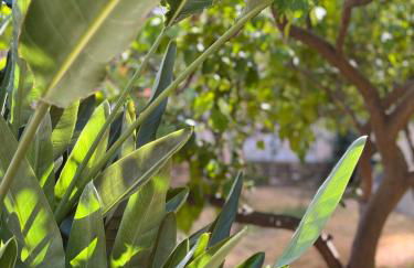 Casa Rosetta - Relax in Centro - Parcheggio Privato, Mare a 2 Passi - Photo 53