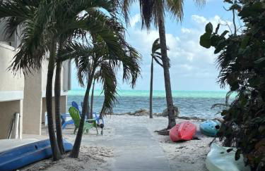 Beachfront paradise, heated pool and ocean view #9 - Foto 8