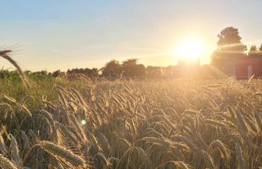 Stajnia Tarnowo Pałuckie - Foto 12