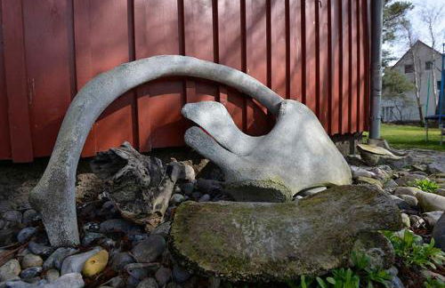 Schreinerhaus - Foto 9