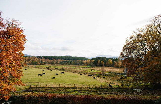 The Dell of Abernethy - Photo 77