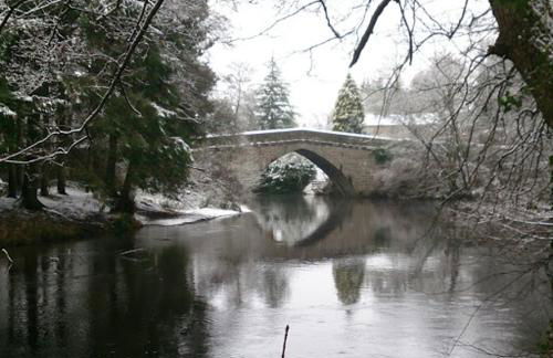 Old Orchard Studio - Foto 15