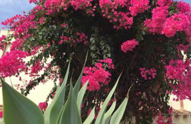 Villa Bouganville - Foto 7