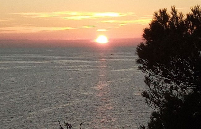 Tamaris Bay - Foto 23