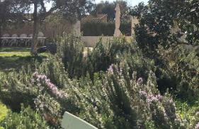 Agroturisme MAS CAN FONT - Foto 9