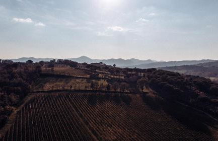 La Pampa Relais & Spa - Foto 65