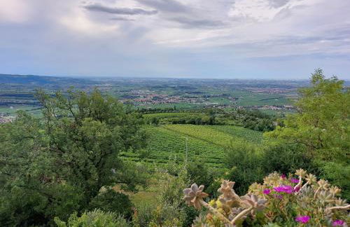 Azienda Agrituristica Corteforte - Foto 79