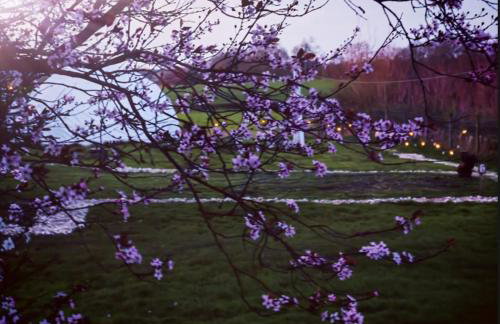 Dome One with Hot Tub, Lincoln, Projector, Firepit - Foto 24