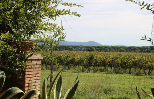 Podere Campo alle Serpi - Foto 6