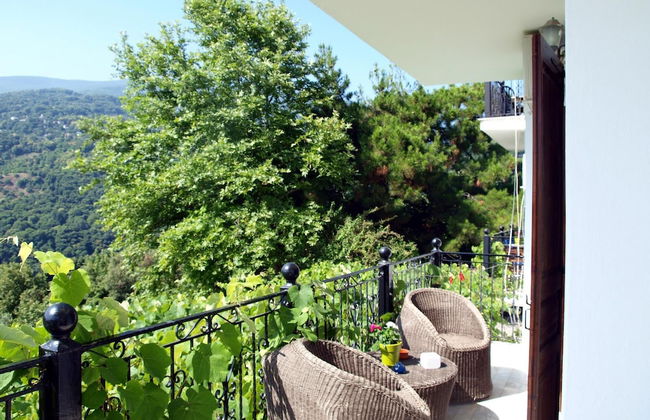 Paradeisos Double Room With Balcony 2 - Foto 7