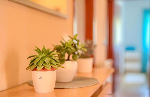 Appartman Rozana - Foto 57