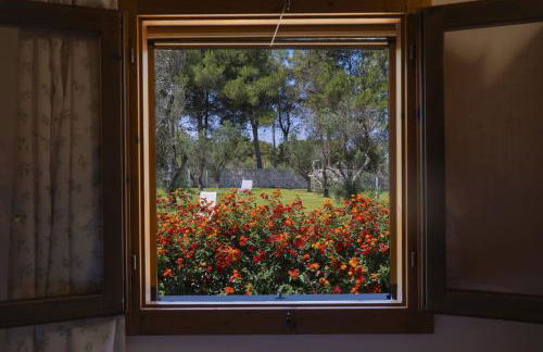 AGRITURISMO SCALELLE - Foto 56