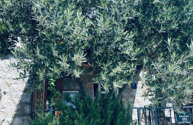 Kuća za odmor “Dida” - Photo 16