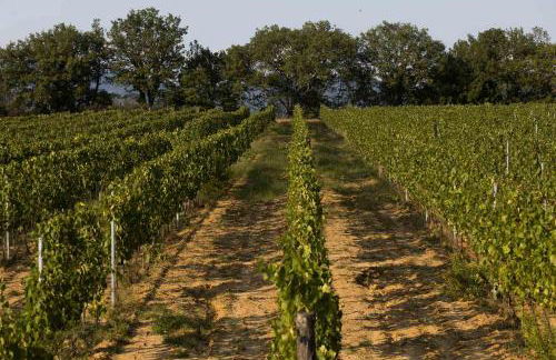 Agriturismo Le Baccane - Foto 11