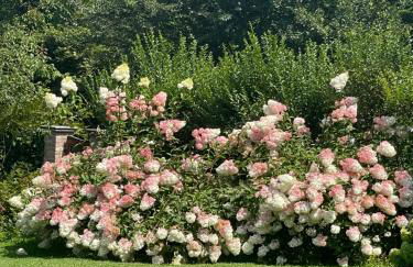 Casetta dei lagoni - Foto 6