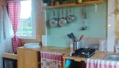 La Roulotte romantique des volcans - Foto 2, stove