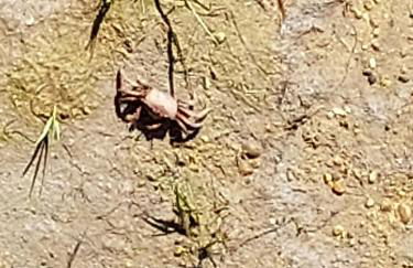 Ancão Beach Apartment - Photo 34