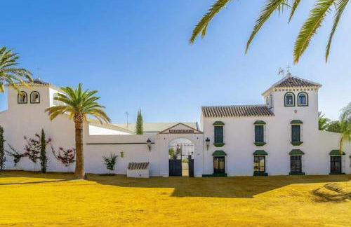 Cortijo Pavia - Photo 10