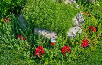 Apartments Villa Krasa - Foto 27