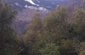 Δωμάτια με θέα - Photo 36