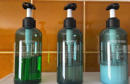 La tartaruga - Photo 10