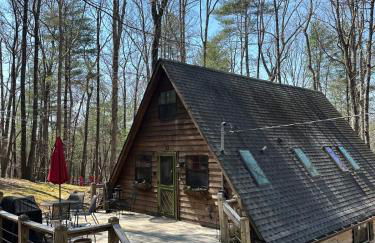 Bearly Behavin - Foto 60